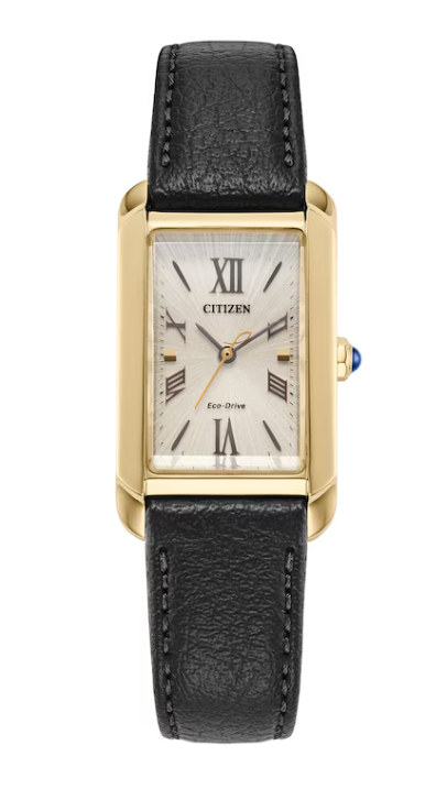 Ladies' Citizen Eco-Drive® Bianca Gold-Tone IP Black Leather Strap Wat