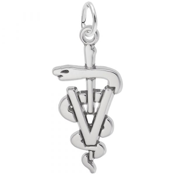 Sterling Silver Vet Charm